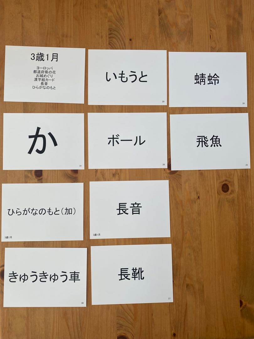 七田式 しちだ式3歳フラッシュカード わくわく脳づくりカード フルセット