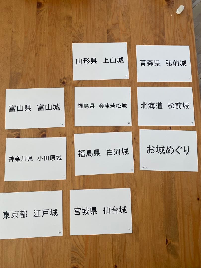 七田式 しちだ式3歳フラッシュカード わくわく脳づくりカード フルセット