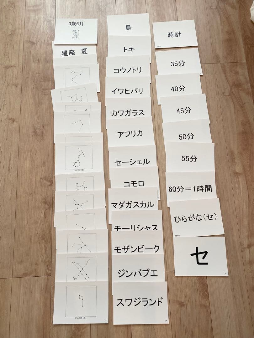 七田式 しちだ式3歳フラッシュカード わくわく脳づくりカード フルセット