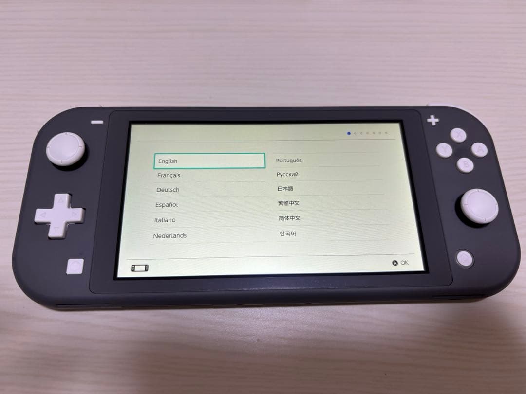 Nintendo Switch Lite グレー 本体とケース、SDカード付き