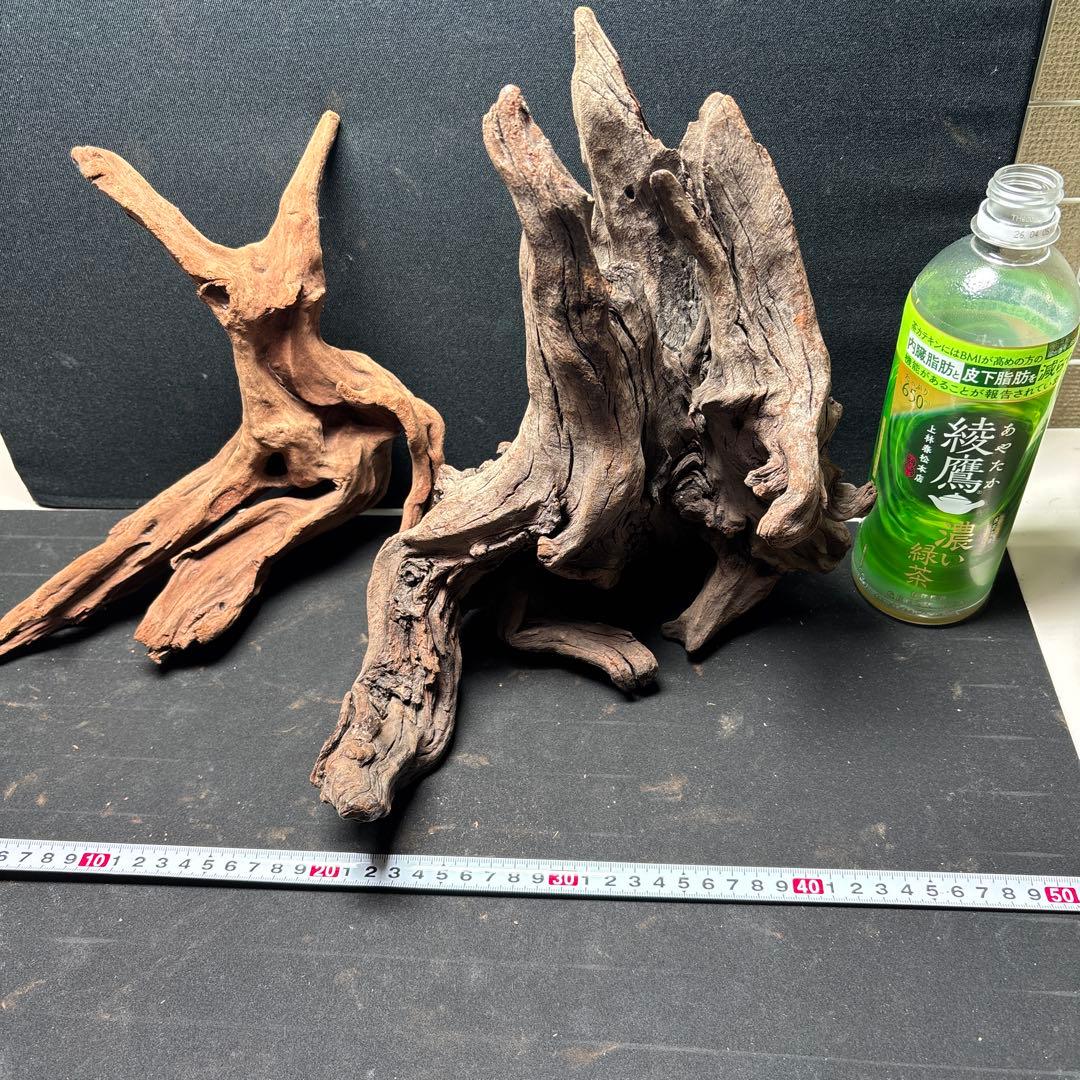 ADAホーンウッド9個