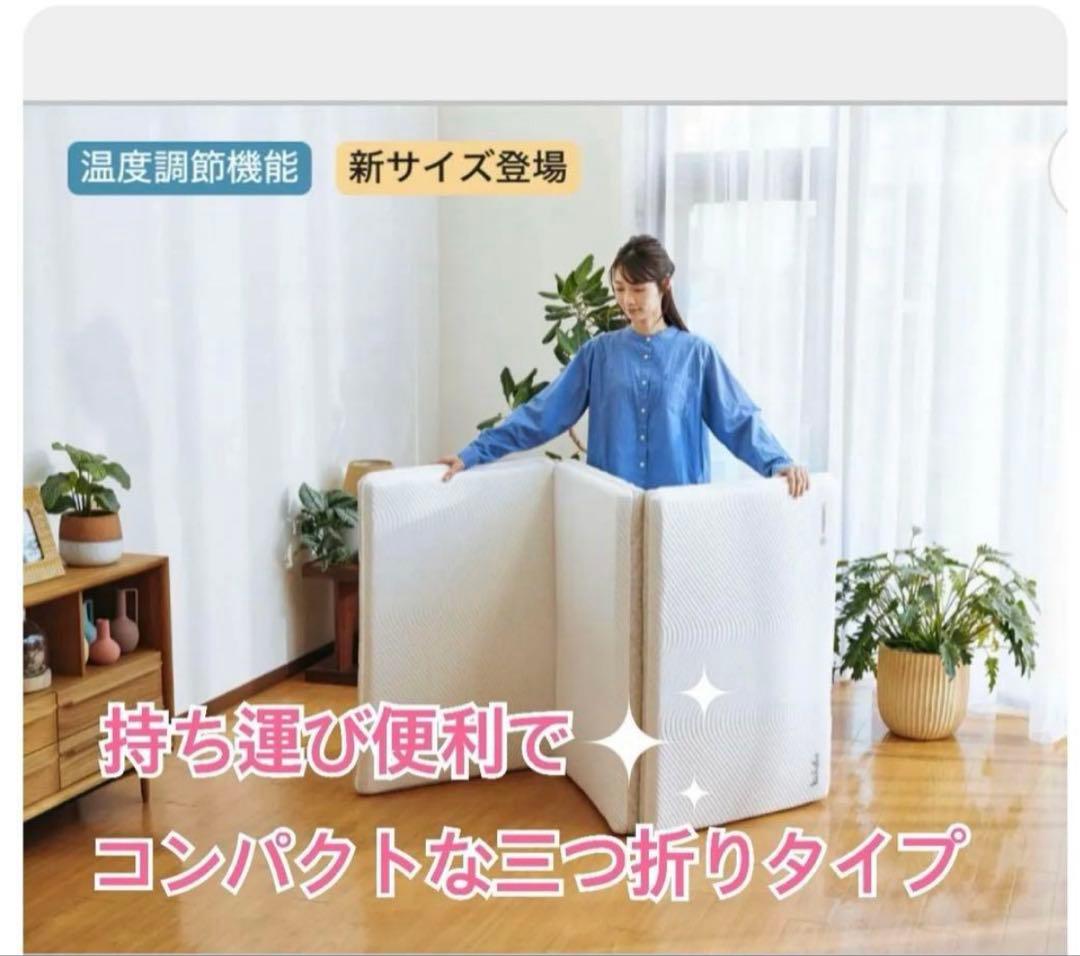 ✨快適快眠✨コアラフトン OASIS シングル 布団 三つ折り コアラ(R)