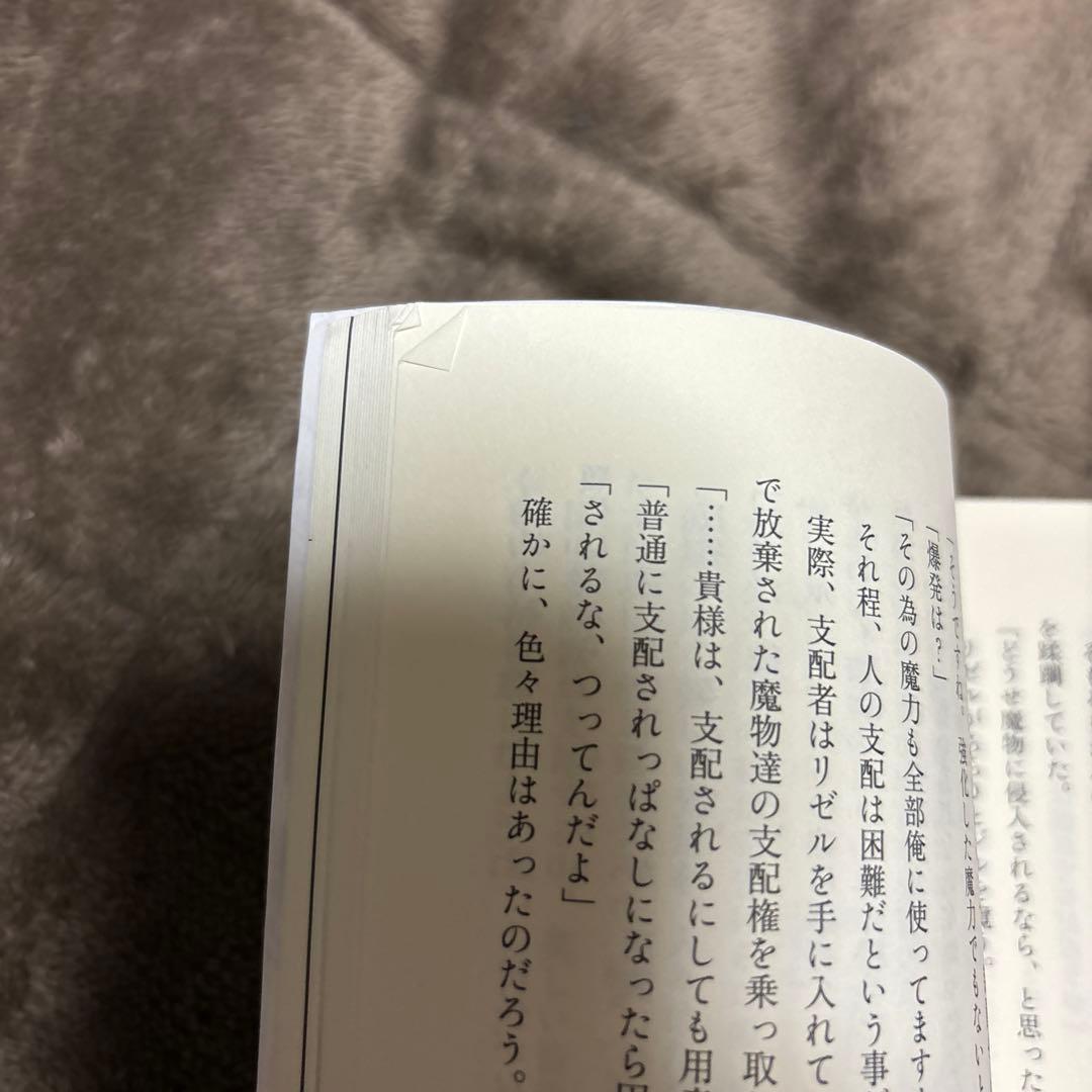 穏やか貴族の休暇のすすめ。 全巻 1-20巻 ＋ 短編集 小説 全初版 希少