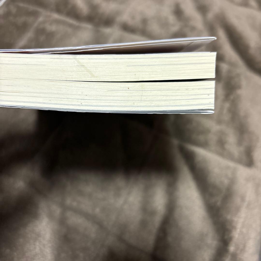 穏やか貴族の休暇のすすめ。 全巻 1-20巻 ＋ 短編集 小説 全初版 希少