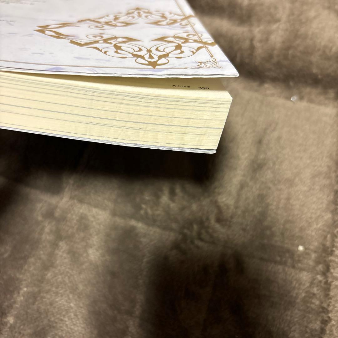 穏やか貴族の休暇のすすめ。 全巻 1-20巻 ＋ 短編集 小説 全初版 希少