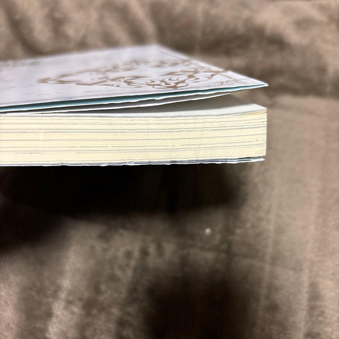 穏やか貴族の休暇のすすめ。 全巻 1-20巻 ＋ 短編集 小説 全初版 希少