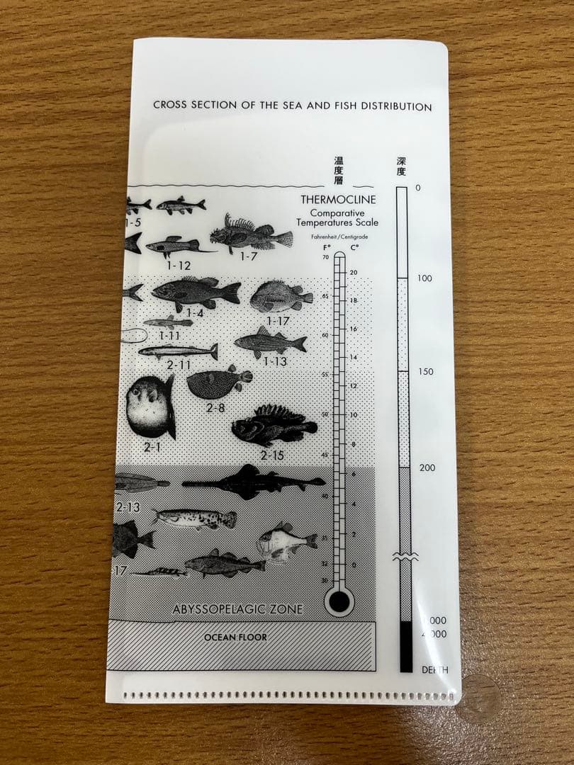 サカナクション　魚図鑑 （完全生産限定盤プレミアムBOX）