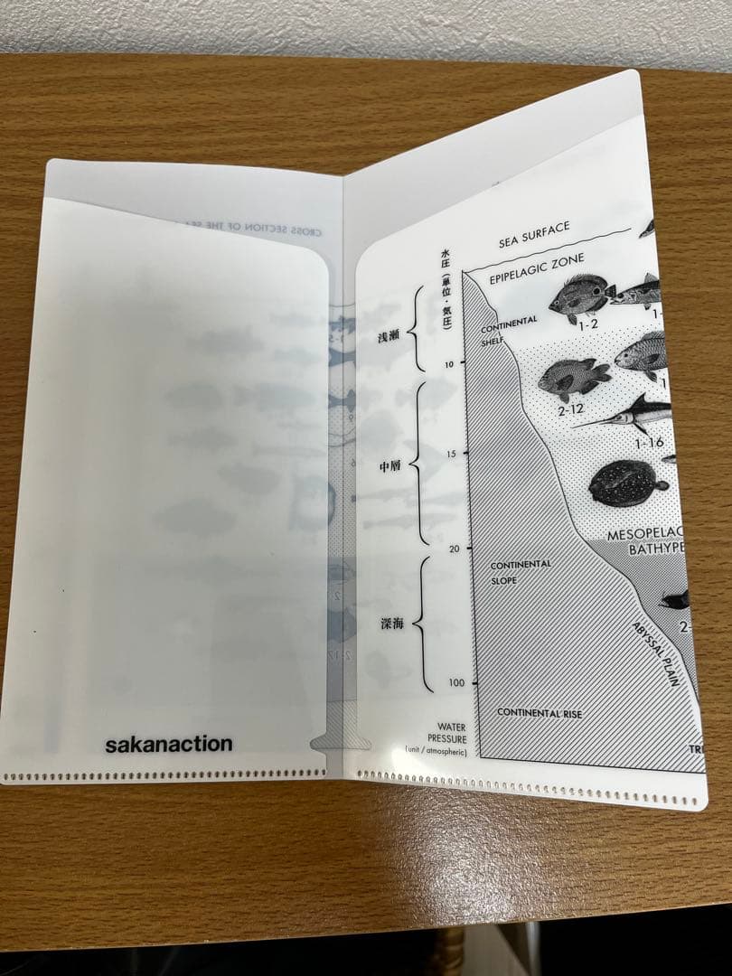 サカナクション　魚図鑑 （完全生産限定盤プレミアムBOX）