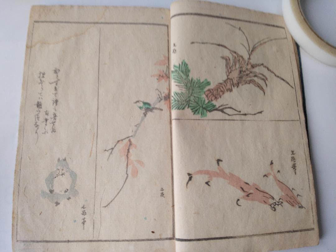 『 古畫写真 第二編』古畫寫眞 古画写真 木風翁文紹 編 洞雲池田宜顕 です。