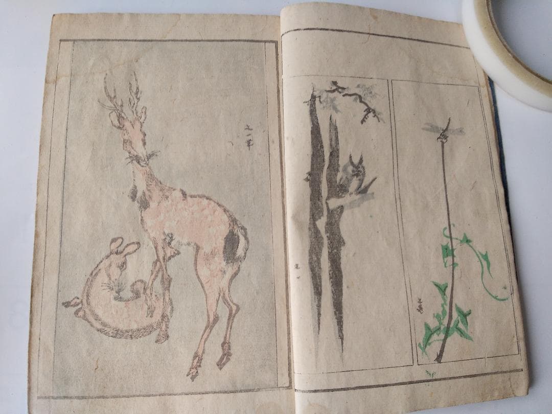 『 古畫写真 第二編』古畫寫眞 古画写真 木風翁文紹 編 洞雲池田宜顕 です。