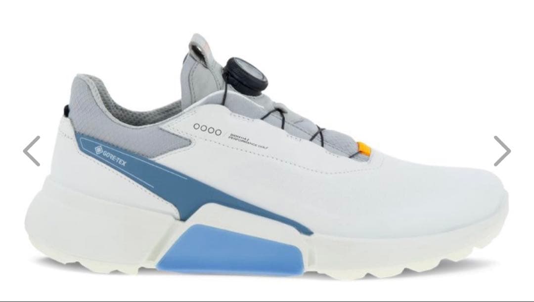 ecco ゴルフシューズ メンズ 39(24.5)