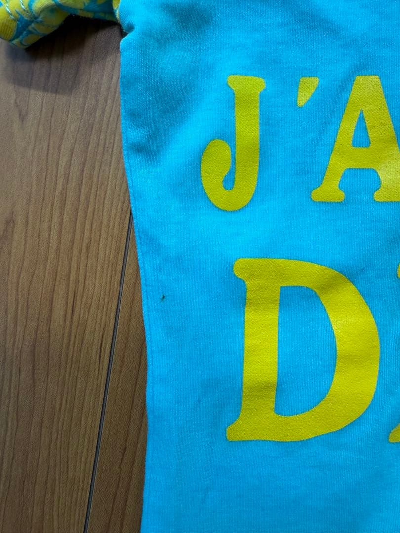 クリスチャンディオール Tシャツ　トロッターか柄　Vネック ガリアーノか期