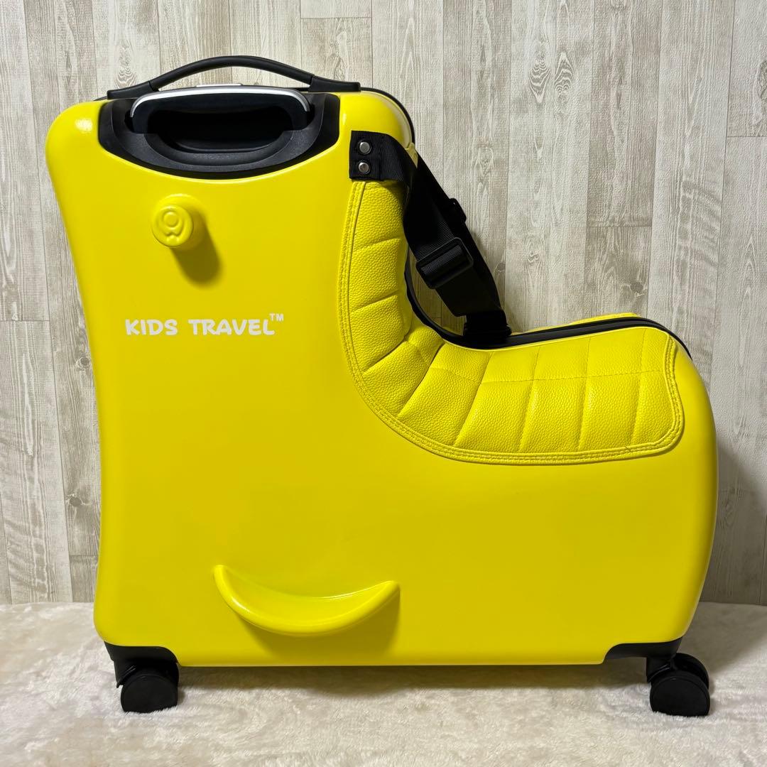 ⭐️美品⭐️【NORIKKO ノリッコ】クッション付プレミアムキャリー・M