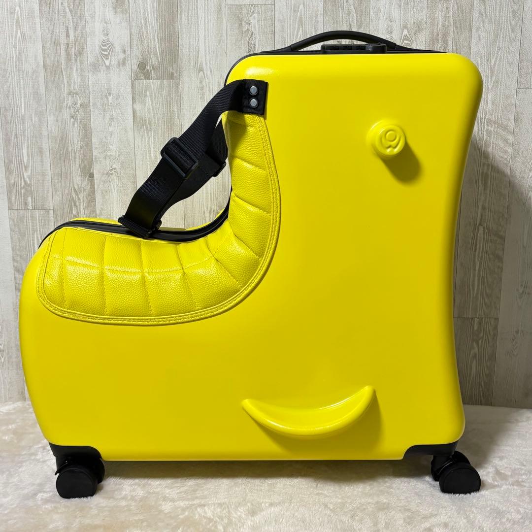 ⭐️美品⭐️【NORIKKO ノリッコ】クッション付プレミアムキャリー・M