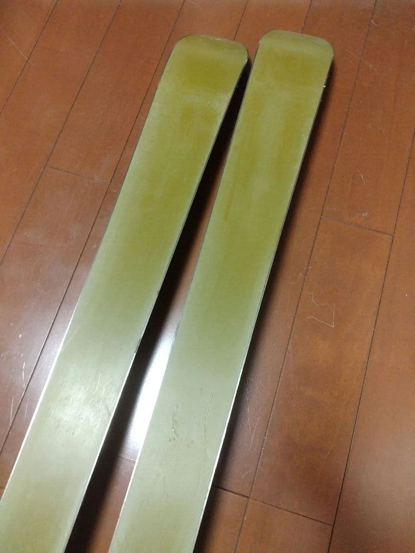 【フリースタイル☆】161cm　SALOMONスキー板♪　ツインチップ！