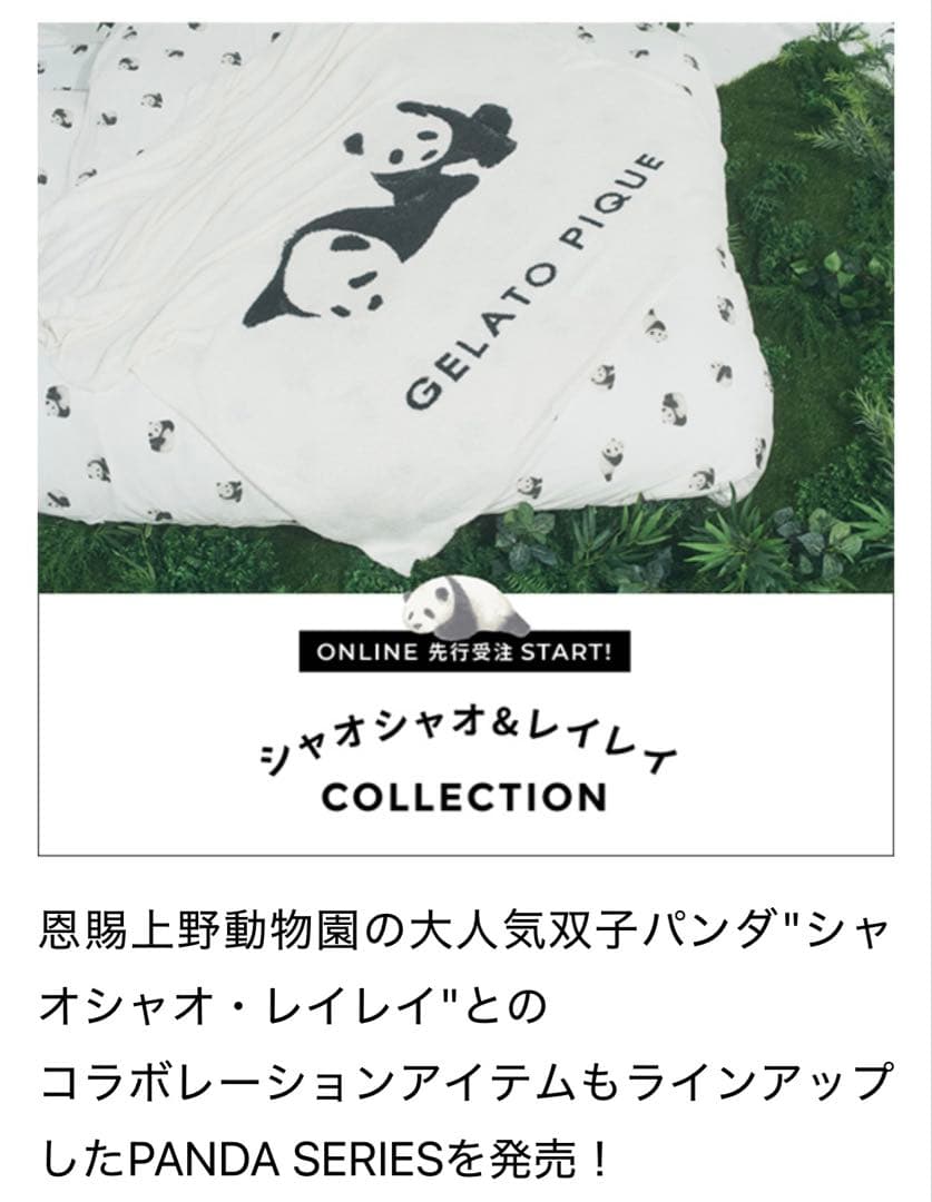 大判☆新品☆ジェラートピケ☆パンダ☆ブランケット☆シャオシャオ☆レイレイ☆カバー