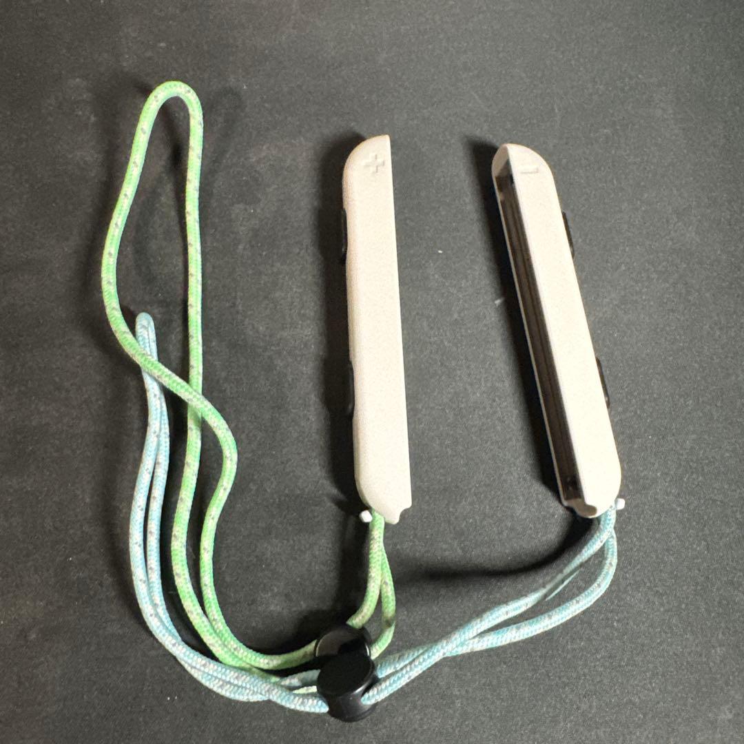 Nintendo Switch 本体 あつまれどうぶつの森セット版