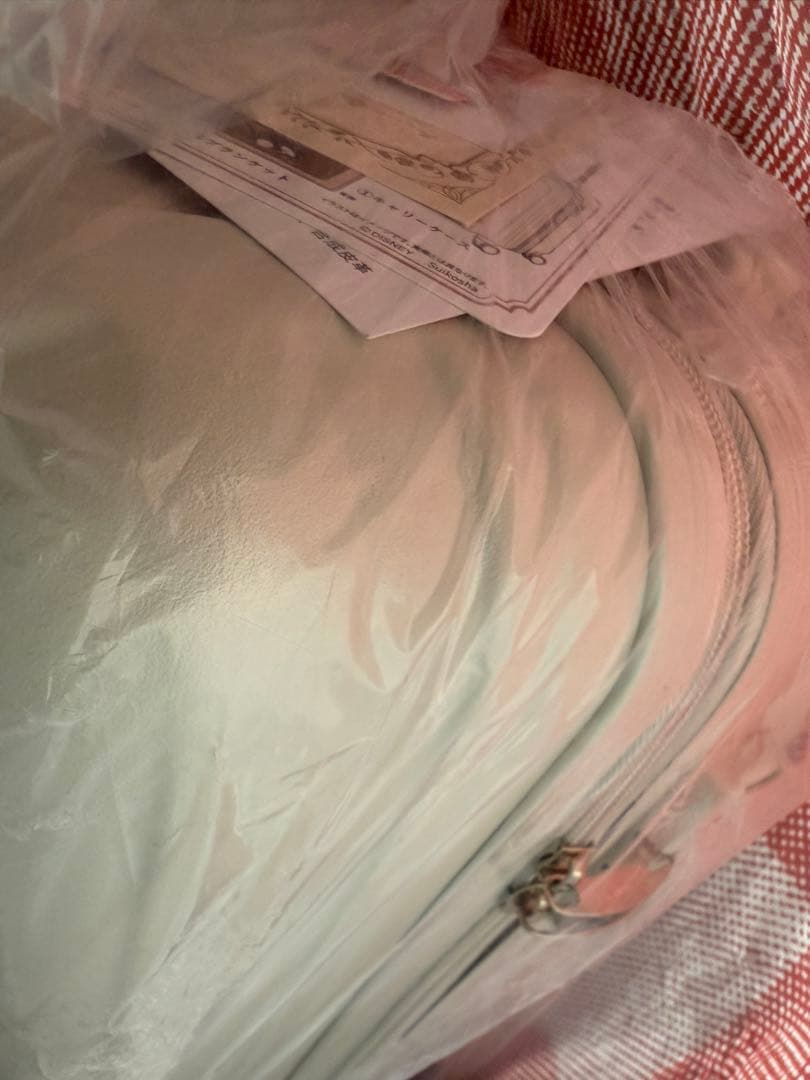 しまむら ちはるさん コラボ シンデレラ ハッピーバッグ ディズニー