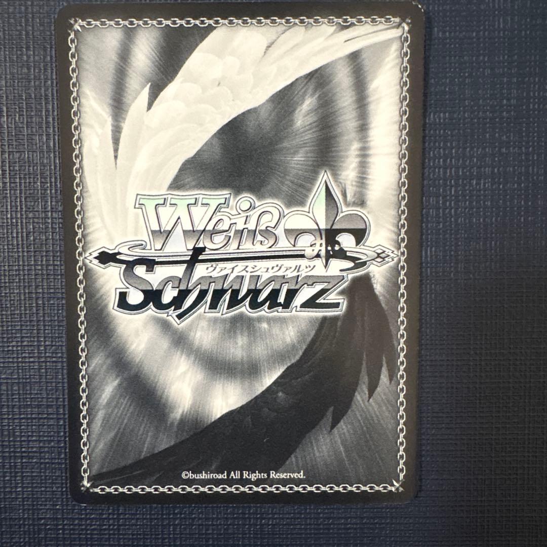 ヴァイスシュヴァルツ　異世界常夏生活　レム　SP