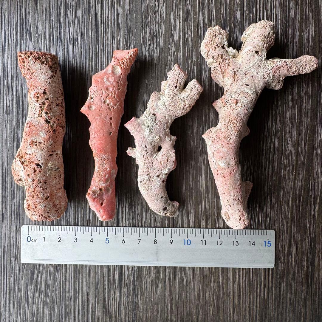 珊瑚　原木　桃色　コーラルピンク系　総量235.5g