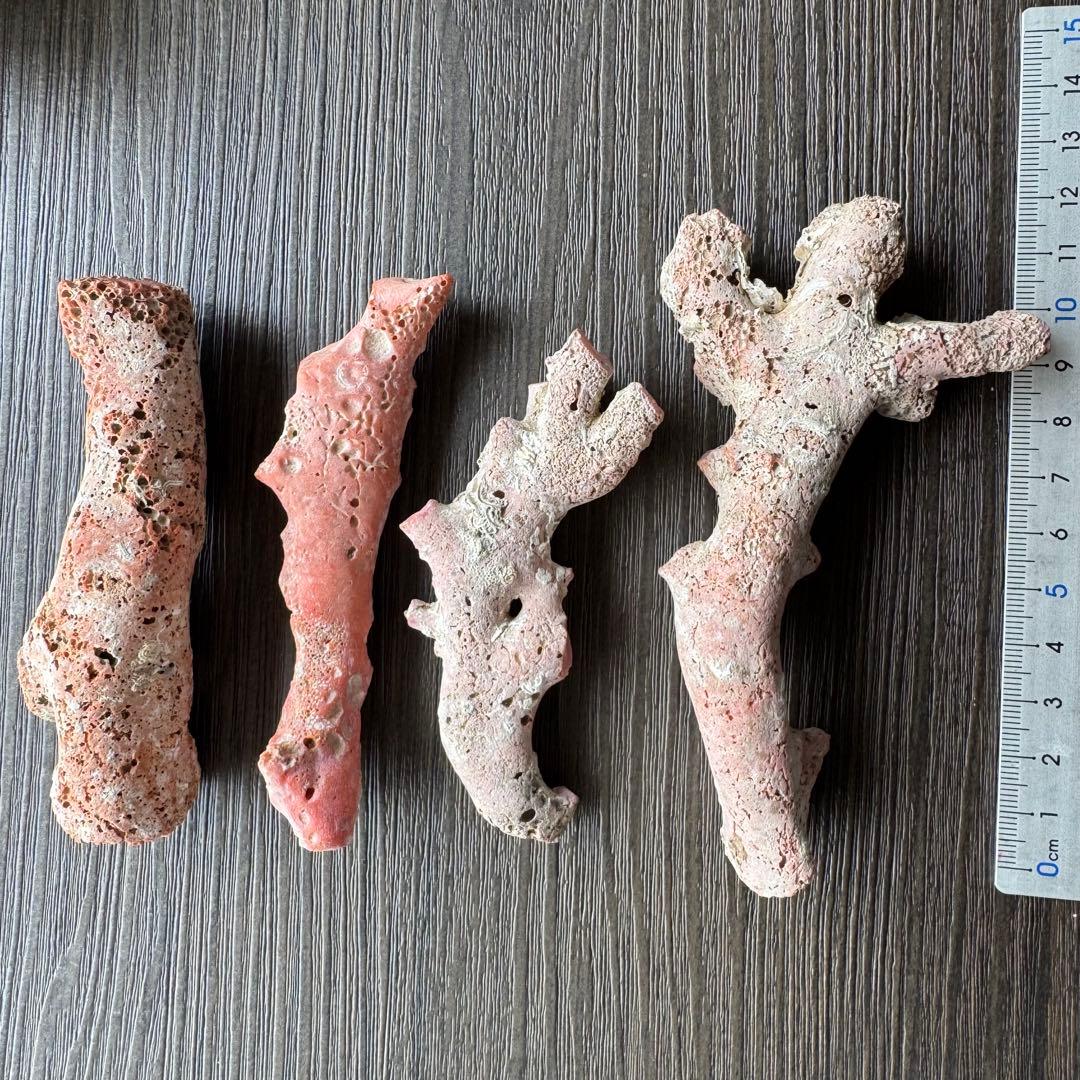 珊瑚　原木　桃色　コーラルピンク系　総量235.5g