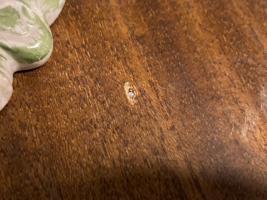 GARDEN‼️アンティーク　イタリア　聖水盤