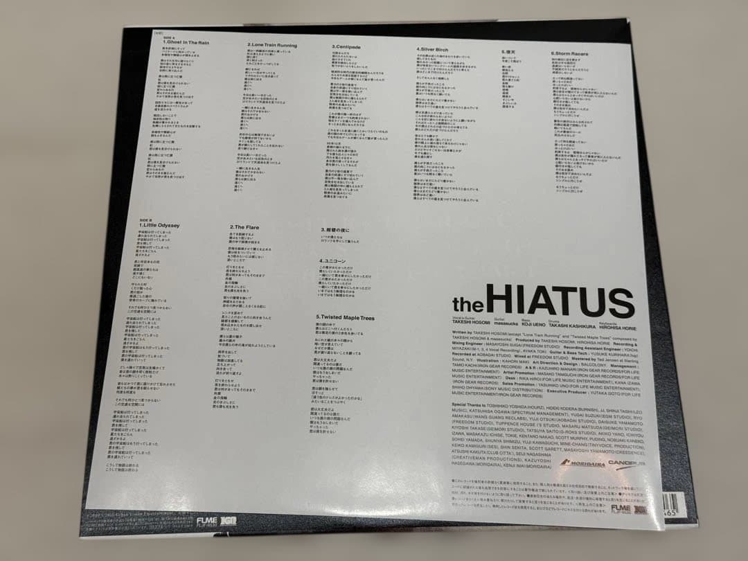 the HIATUS / Trash We’d Love LP アナログレコード