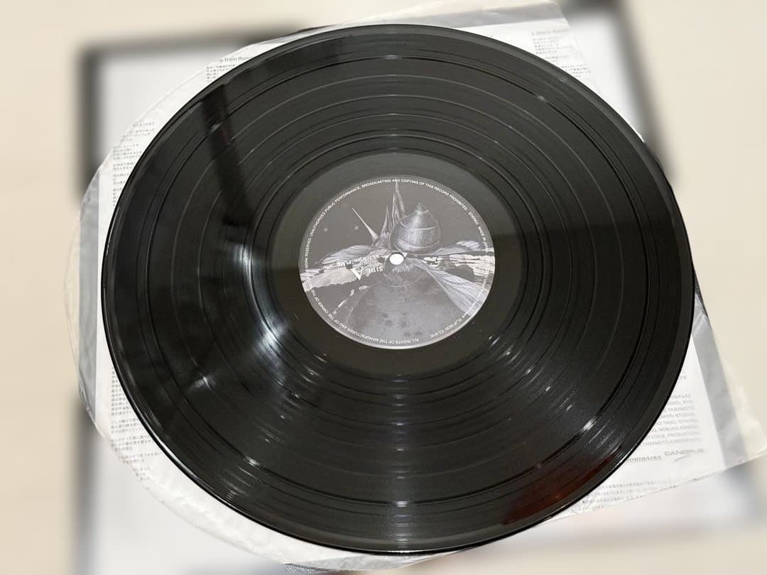 the HIATUS / Trash We’d Love LP アナログレコード