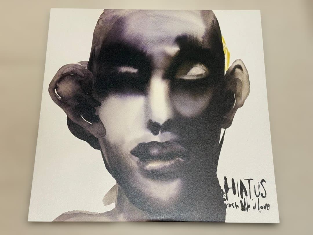 the HIATUS / Trash We’d Love LP アナログレコード