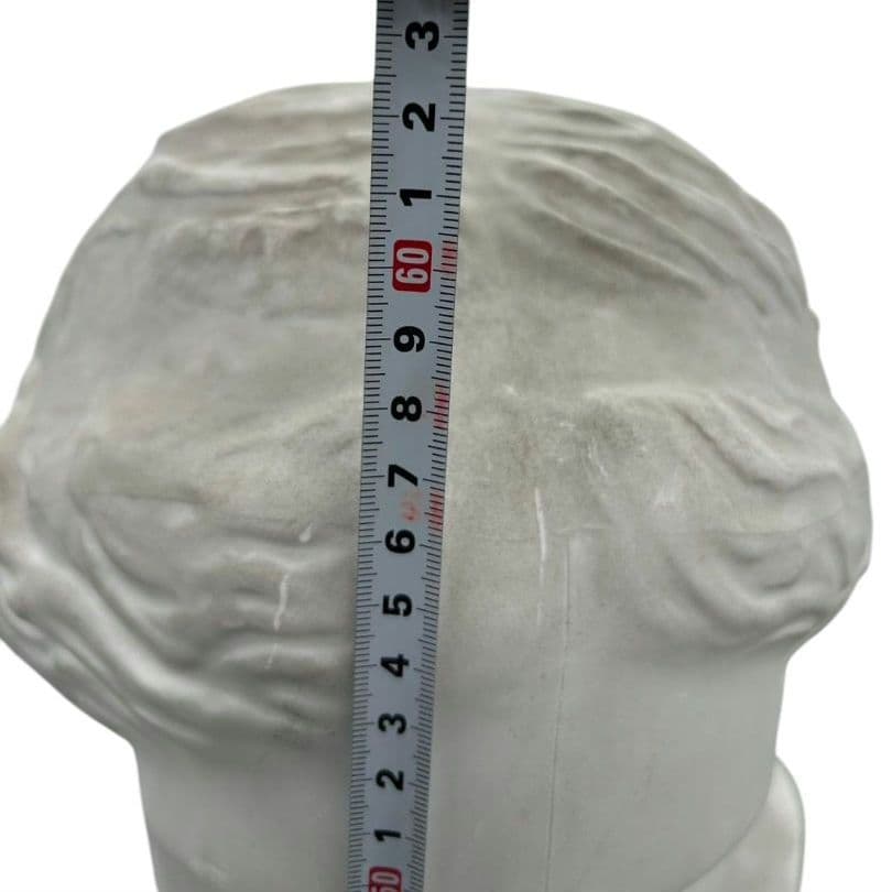 ミロのヴィーナス 石膏像