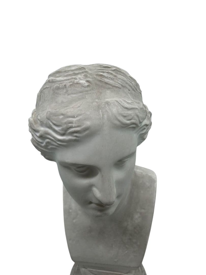 ミロのヴィーナス 石膏像