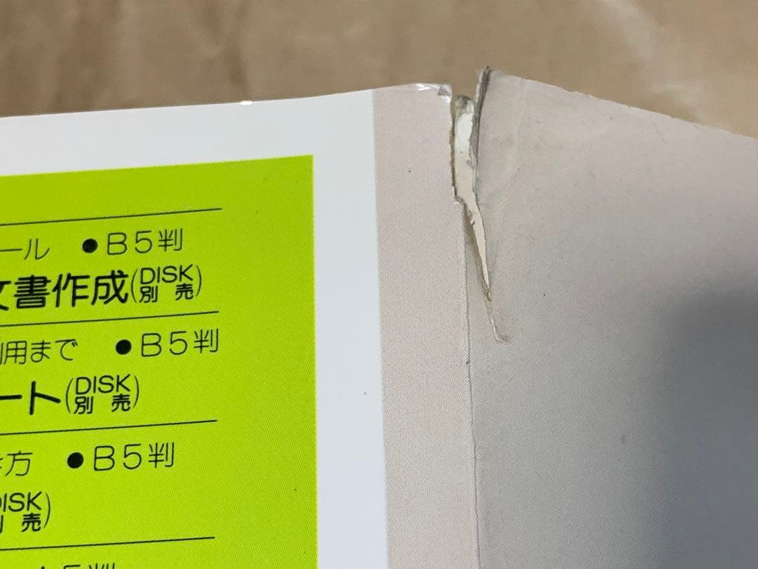 【稀少】初・中級者向けTSR作成の実際 速習MASM 田中尚