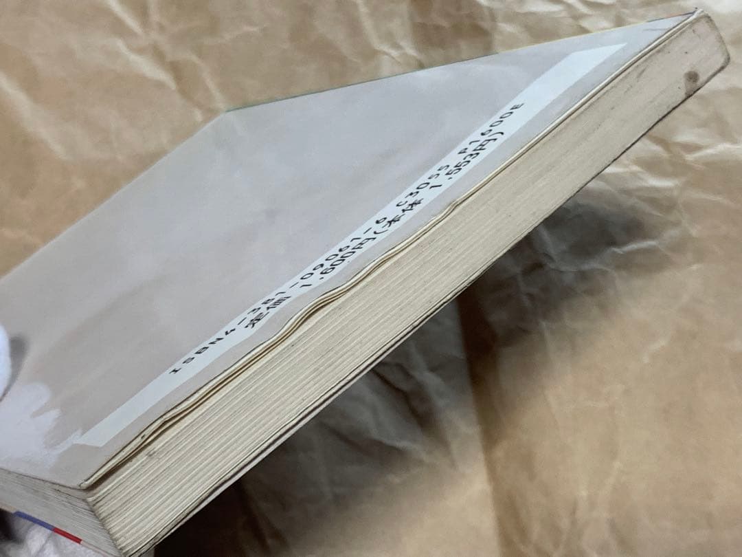 【稀少】初・中級者向けTSR作成の実際 速習MASM 田中尚