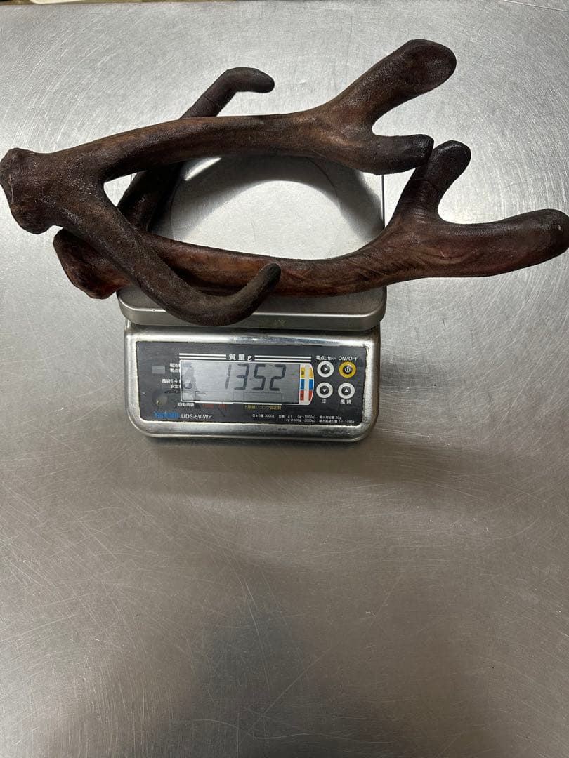エゾ鹿鹿茸　1352g