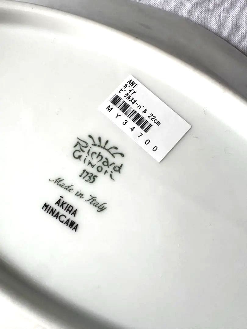 新品未使用リチャード・ジノリ ミナペルホネン ガイア 皿 2枚セット 約22cm