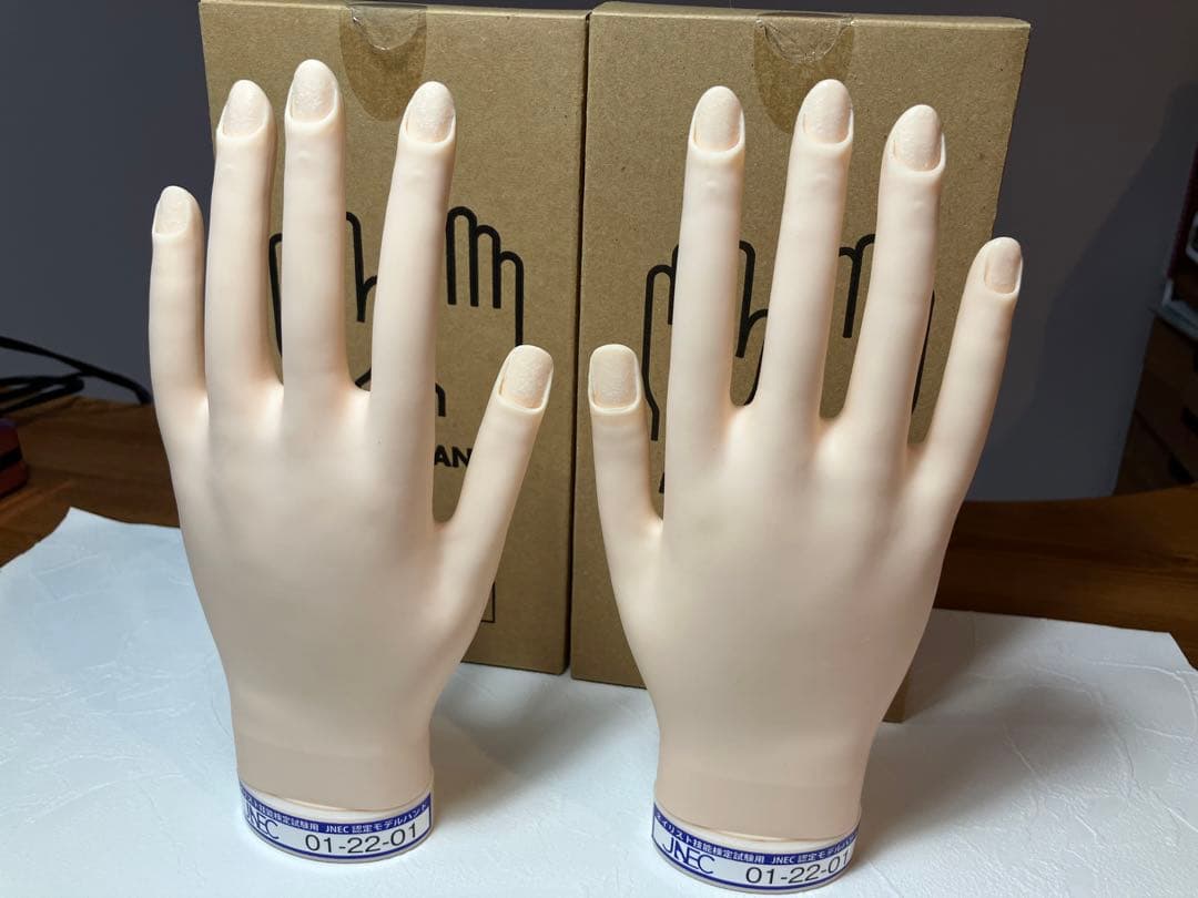 JNEC認定モデルハンド/未使用ネイルチップ&両面テープ★ネイリスト検定