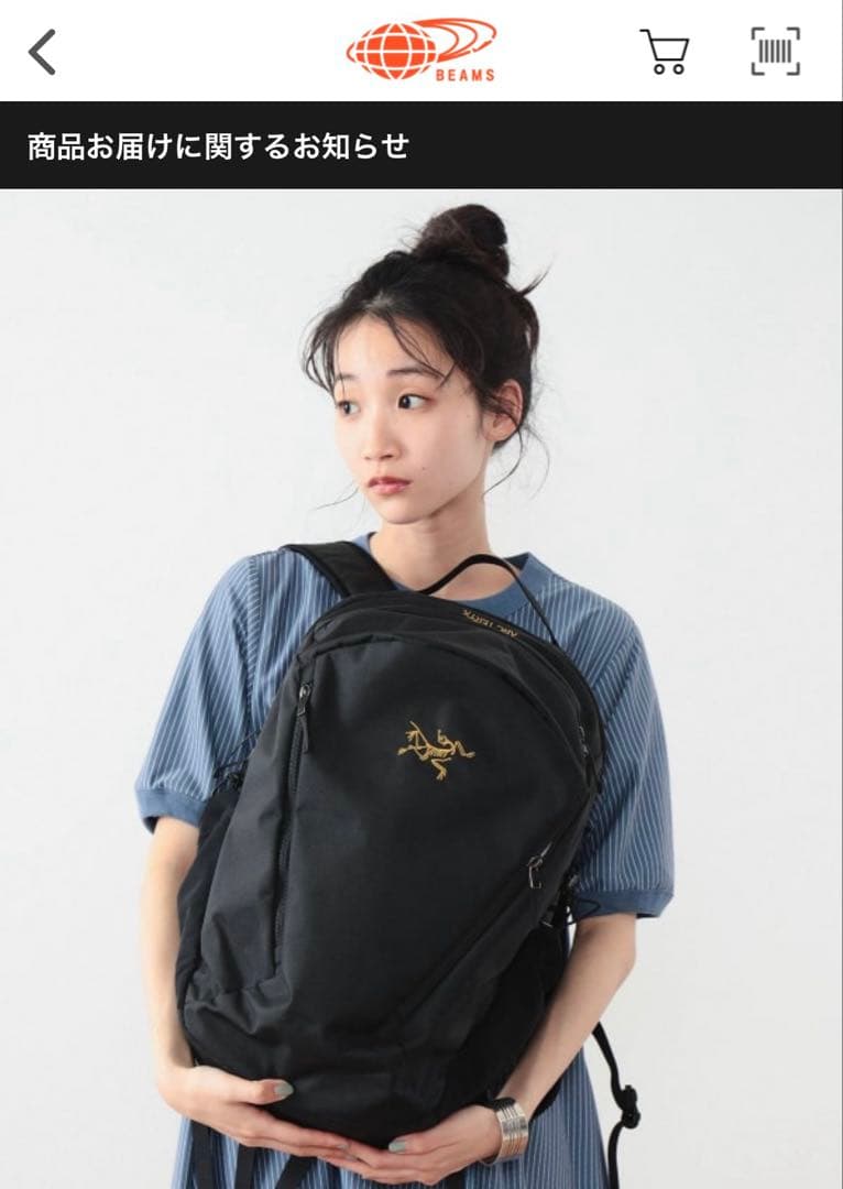 アークテリクスARC’TERYX / MANTIS 26 BACKPACK