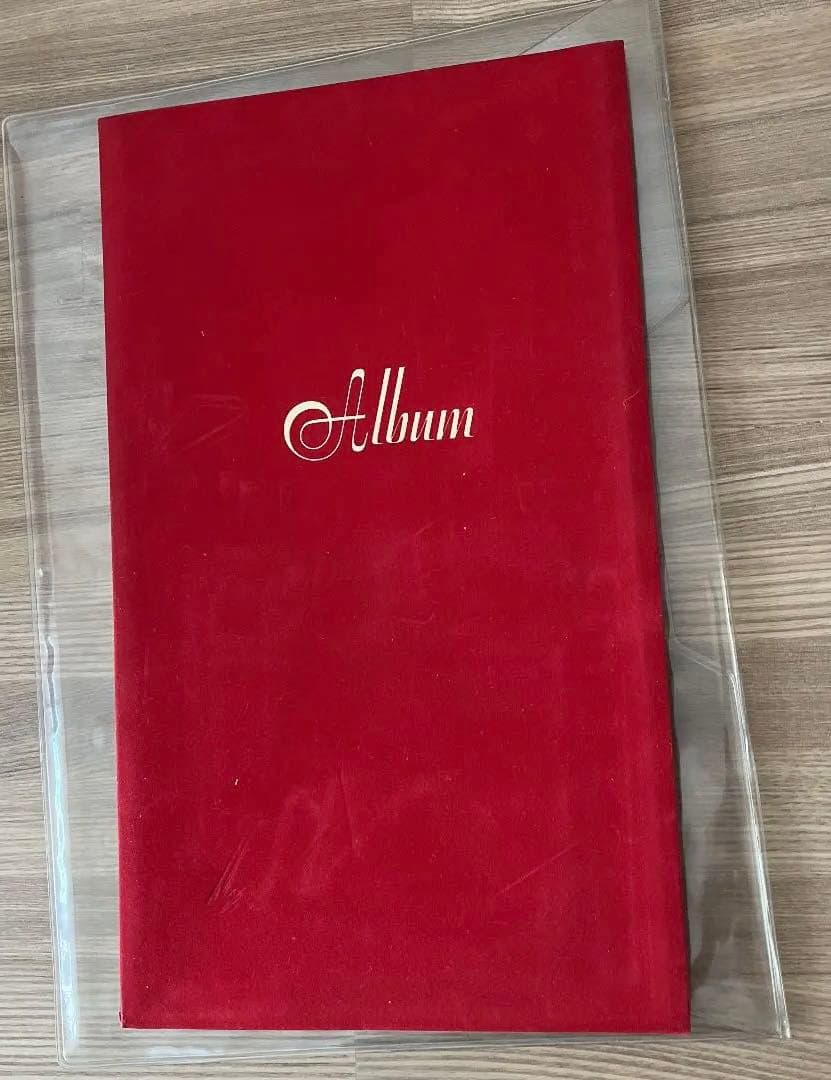 クロヴィス・トルイユ　画集　起毛加工　入手困難