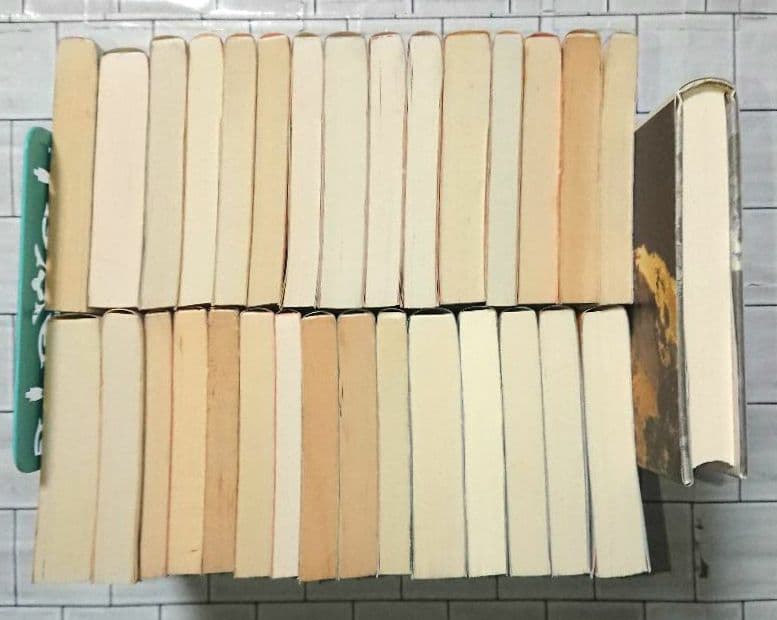 【まとめ】内田康夫 文庫・単行本 ３０冊セット