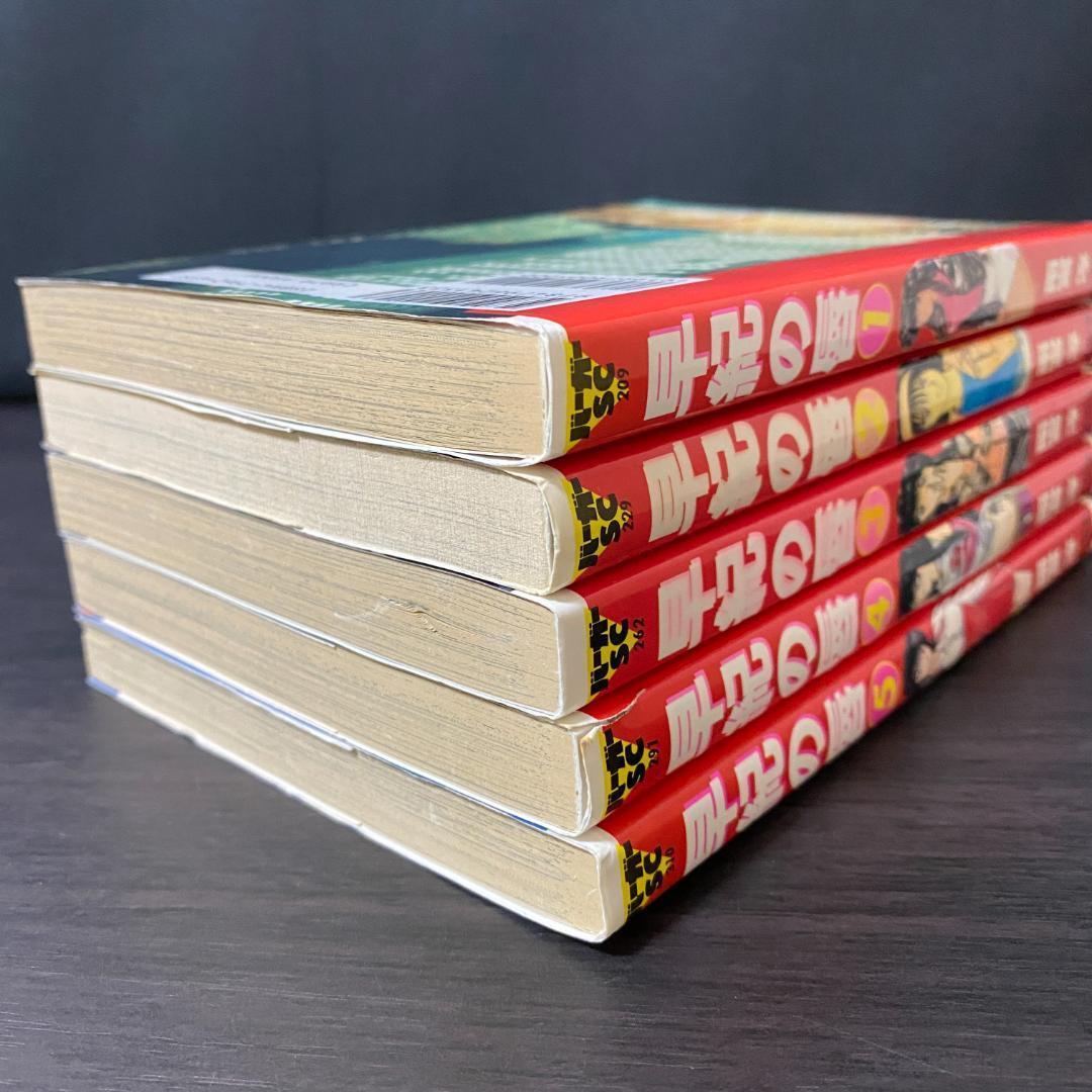 全5巻 セット 早紀の唇 雨宮淳 全巻 完結 1 2 3 4 5 まとめ 大量