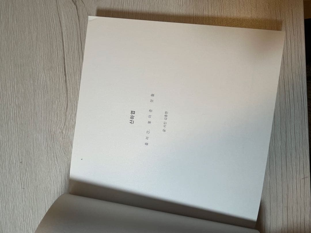 SHINee ジョンヒョン 小説 山荷葉 산하엽