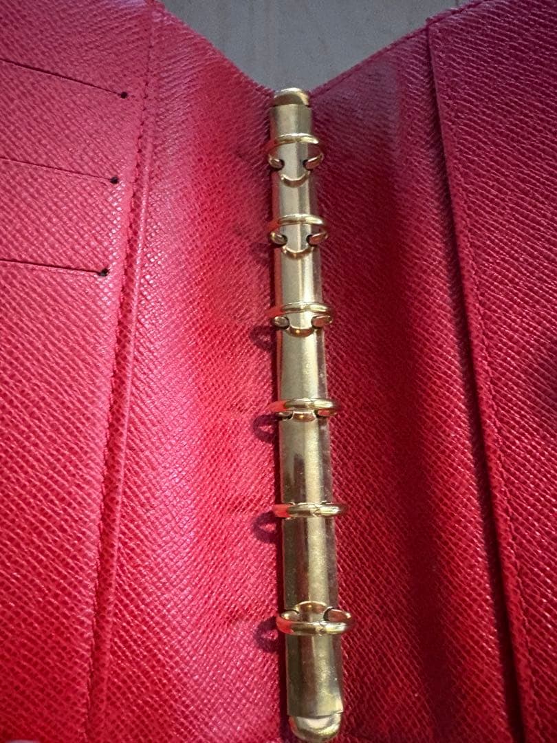 EVA　ルイヴィトン　アジェンダPM 希少　限定デザイン