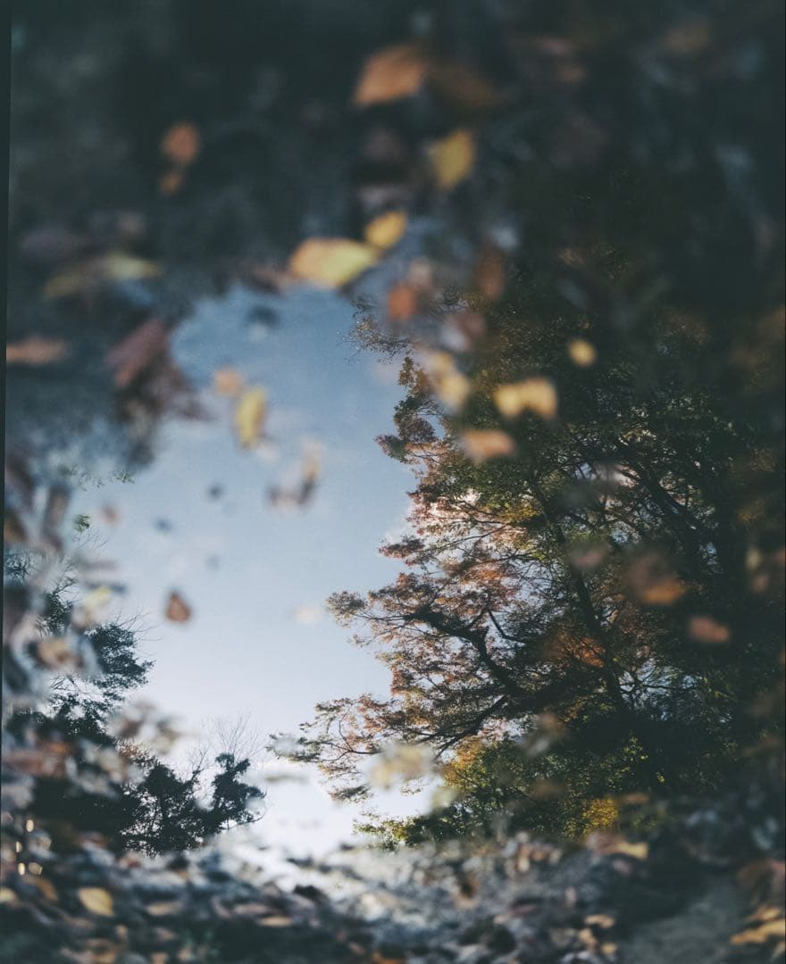 Pentax67カメラ、f4.5 75mmレンズ、フィルム1本付き、