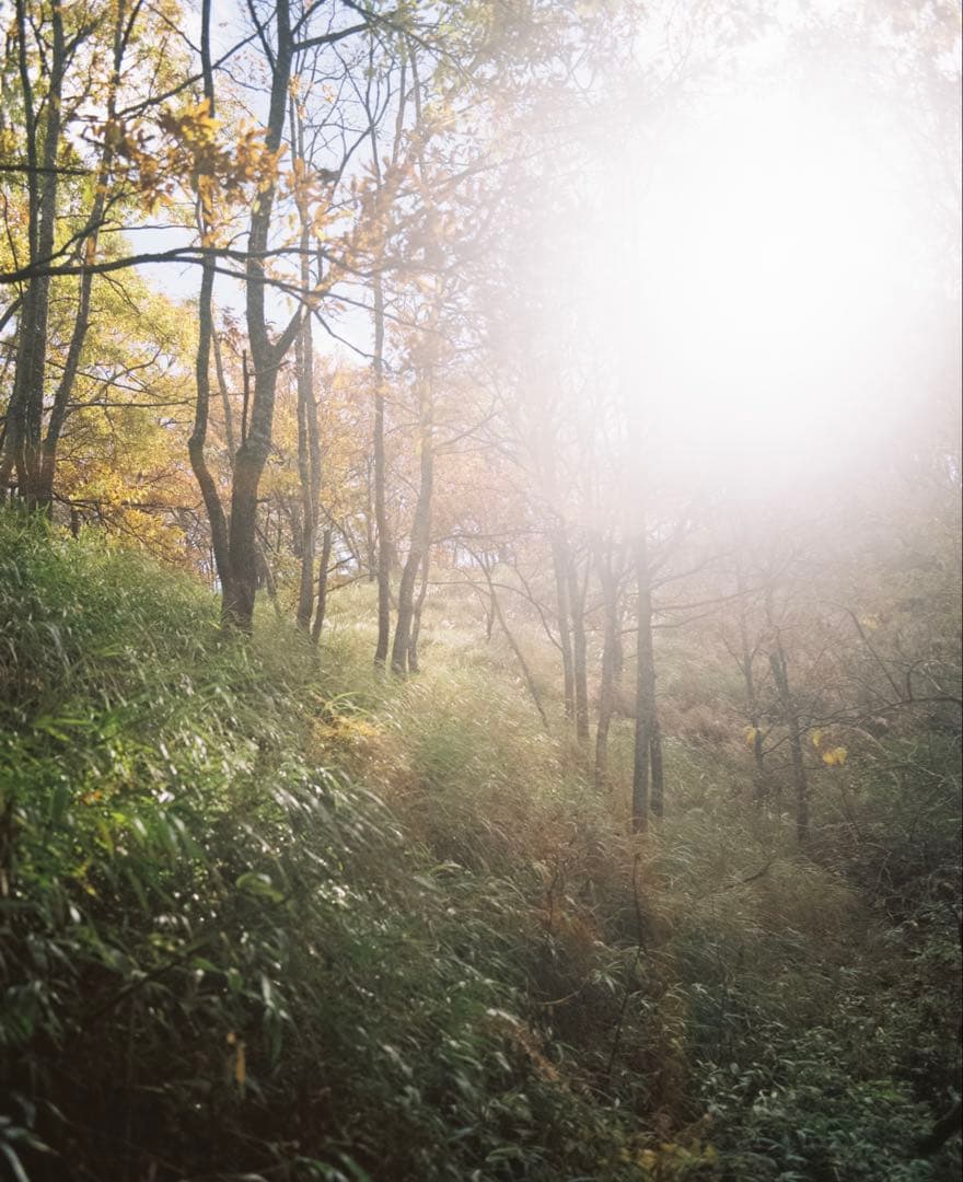 Pentax67カメラ、f4.5 75mmレンズ、フィルム1本付き、