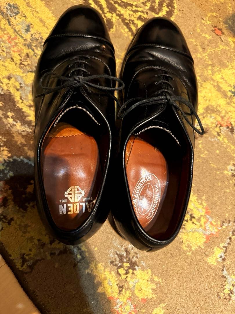 ダーくん　オールデン ストレートチップ 美品 US9 1/2 D