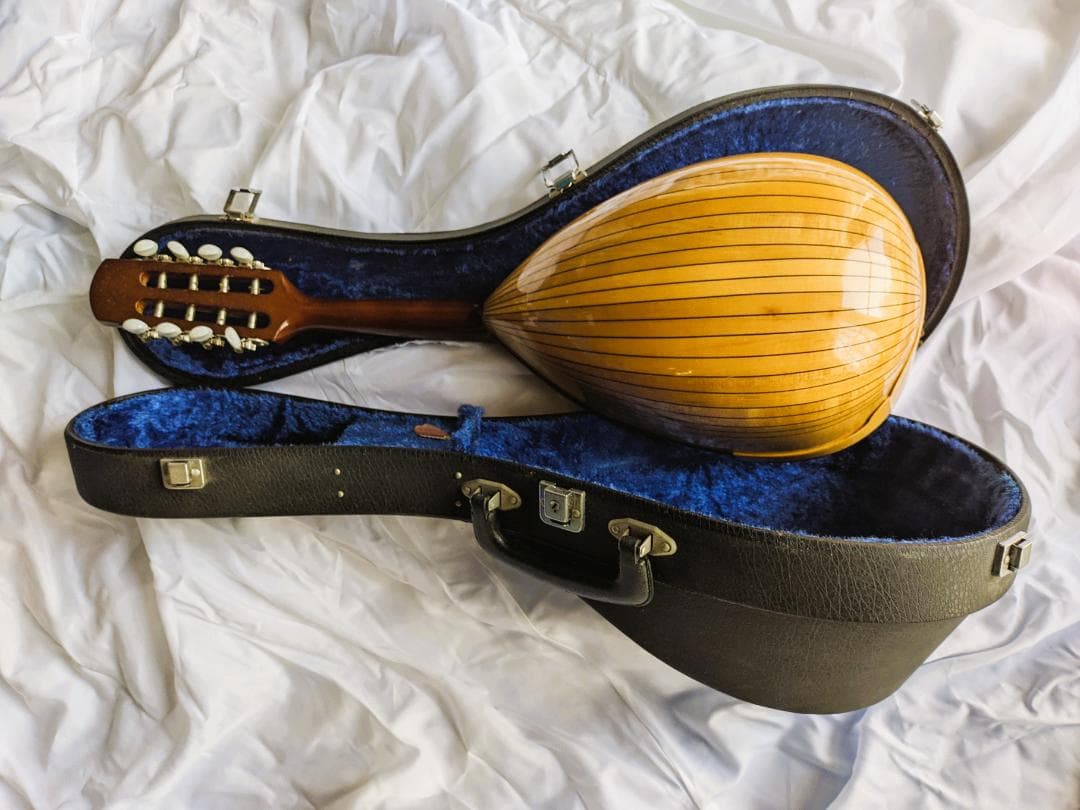 ✨SUZUKI M-30 木製 8弦マンドリン 本体 ＋ 専用ハードケース付き✨