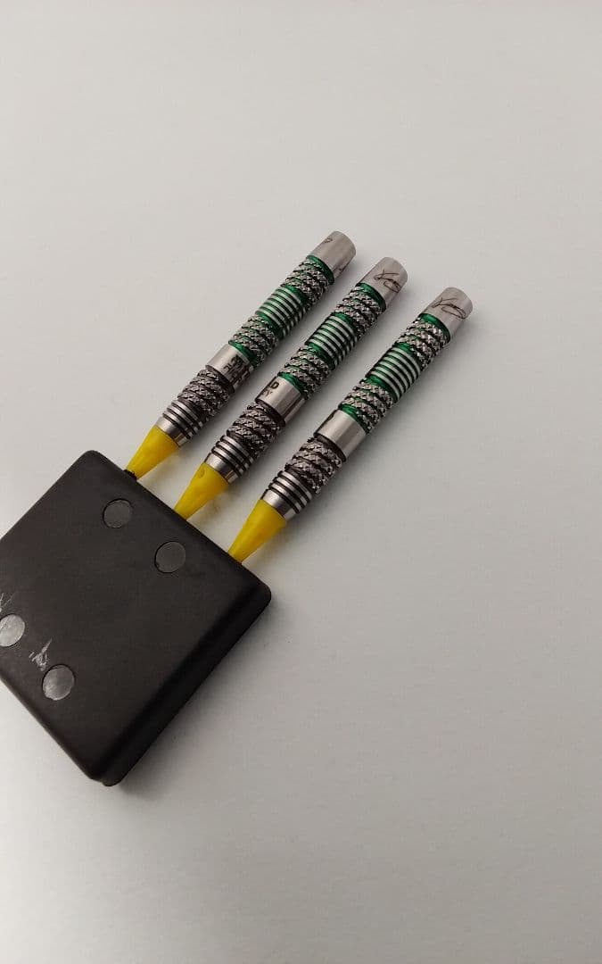 ん*。様 ヒット作!リカルド×レイジー!コラボ!極美品ダーツセット22gパッケー