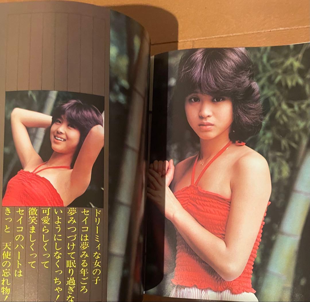 松田聖子　近代映画別冊&パンフレット&エキサイティング・ライヴ　生写真付き