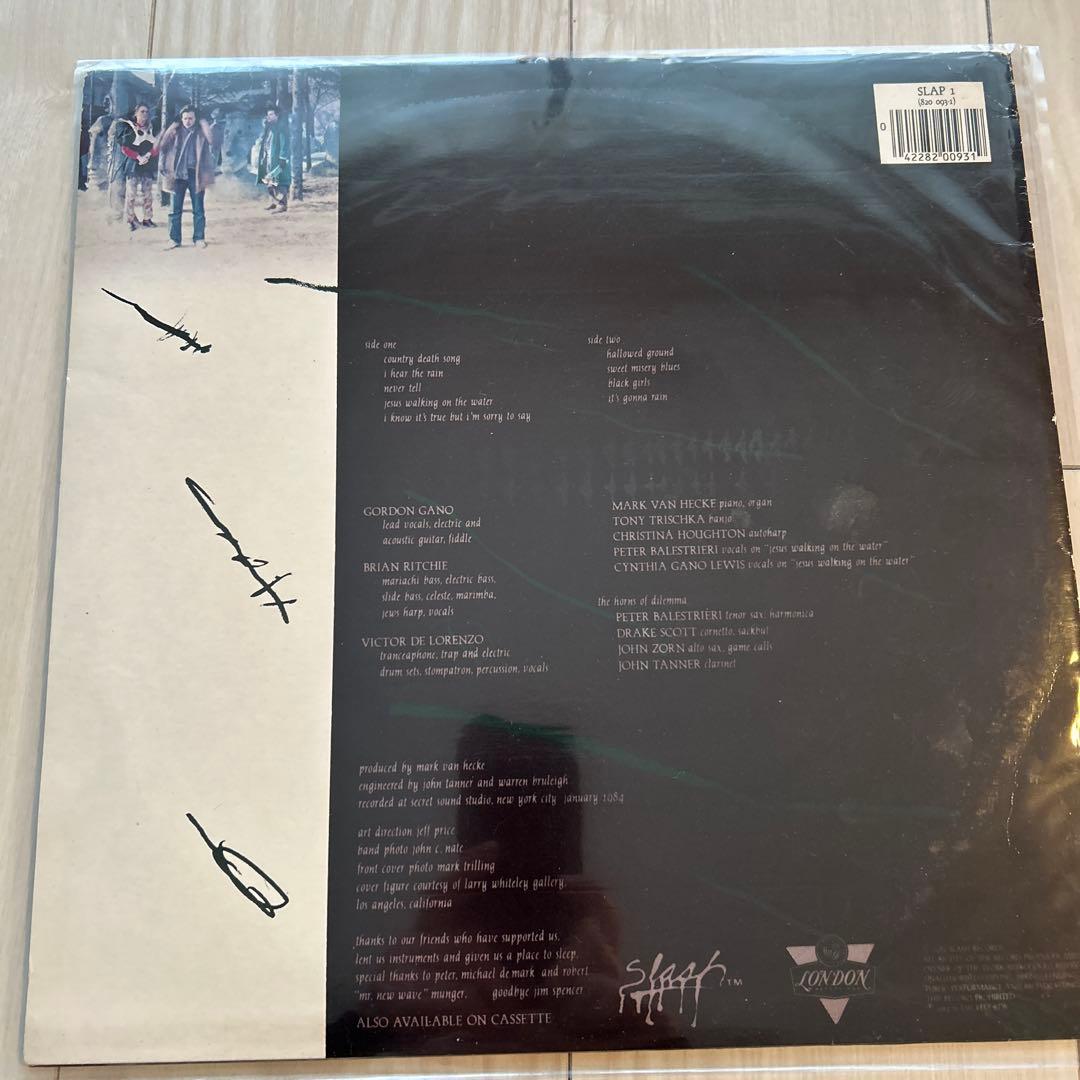 洋楽 VIOLENT FEMMES hallowed ground