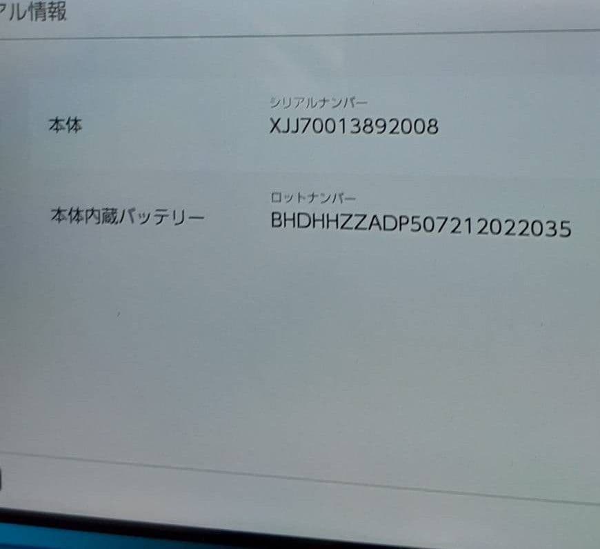 ニンテンドー　Switch Lite　ターコイズ　超美品＋付属品セット